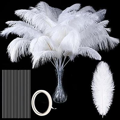  80 Pieces Ostrich Feathers Bulk Large Boho Feathers for Vase  with 80 Pcs Iron Wire and 1 Tape, Long Feathers for Vase Flower Arrangement  Wedding Party Centerpieces and Home Decorations (White) 