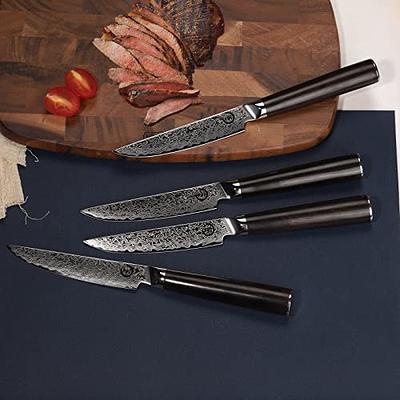 Steak knives Set of 4, Super-Sharp 5 Inch Damascus Steak Knife Set,  Japanese VG10 Core Steel 73 Layers - Non-Serrated Steak Knives with Case 