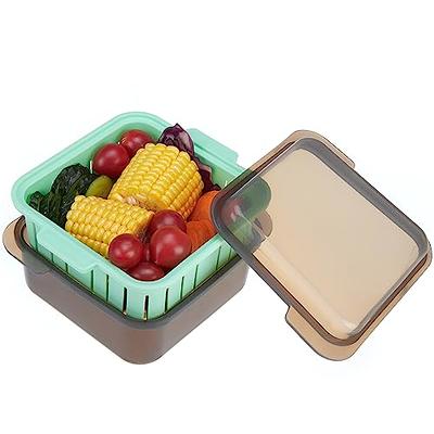 Salad Container To Go 6x2.5 Stainless Steel Condiment Container Small  Containers With Leakproof