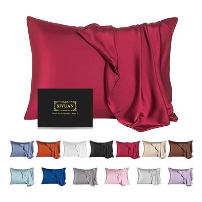  INSSL Silk Pillowcase for Women, Mulberry Silk