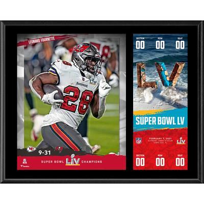 New England Patriots 12 x 15 Super Bowl XLIX Champions Sublimated Plaque