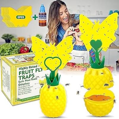 Fruit Fly Trap Catcher 4 Pack Set Gnat Traps Indoor Outdoor Fruits