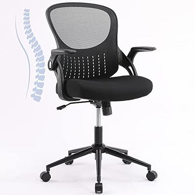 Logicfox Ergonomic Office Chair: Double Lumbar Support