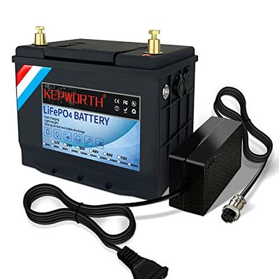SCREAMPOWER 24V 100Ah LiFePO4 Battery, Rechargeable Deep Cycles