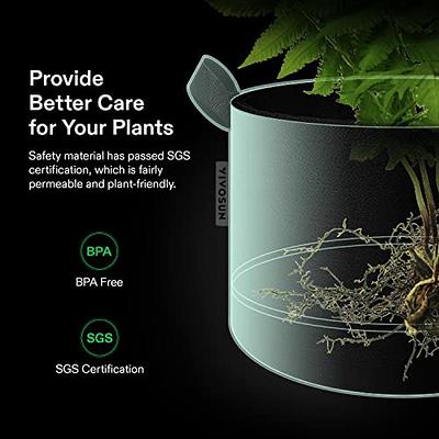 What plants grow well in a 1-gallon fabric pots?