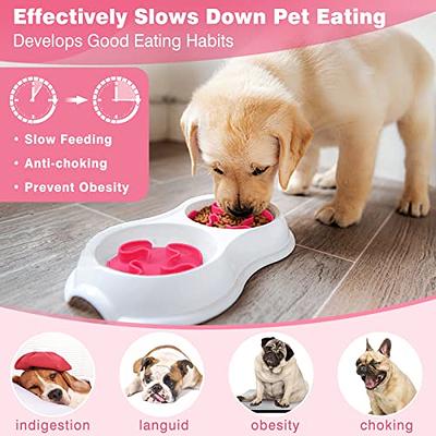 Cat & Dog Toy Feeder, Dog Slow Feeder, Feeders for Cat, Dog Food