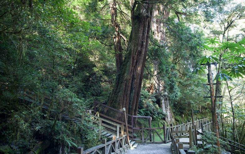 【親子旅遊】拉拉山國家森林遊樂區9/30前只要100元玩整天！