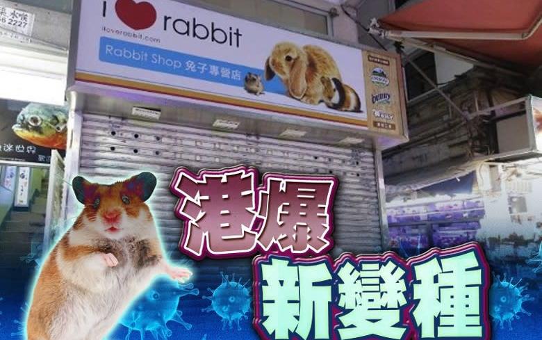 港寵物店倉鼠驗出「D427G」突變　袁國勇指動物傳人可能性極大