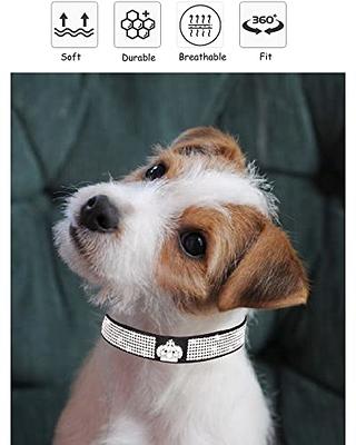 diamond dog collars