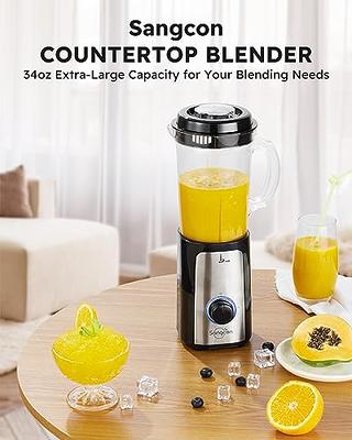 and Food Processor Combo, Blender for Shakes and Smoothies