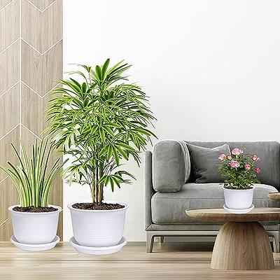 Plant Pots, Planters For Indoor Plants With Drainage Holes, Modern  Decorative Flower Pots For All House Plants, Flowers, White, Creative Pots,  Super Beautiful Flower Pot, Indoor Outdoor Home Decor Garden Patio 