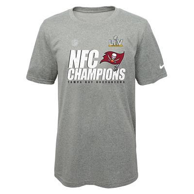 Toddler Nike Gray Philadelphia Eagles 2022 NFC Champions Locker