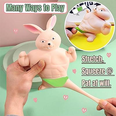 Funny Squishy Rabbit Toy, Squeeze Rabbit Toy, Stretchy and Squishy Rabbit  Toy, Muscle Animal Figure Toys for Kids and Adults