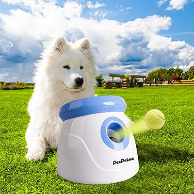 Pet Supplies : Huansihan Interactive Dog Enrichment Toy, Snuffle Ball for  Boredom Dogs and Puppy Mental Stimulation Sniffle Interactive Treat Game  for Small/Medium Dogs Puzzle Toys 