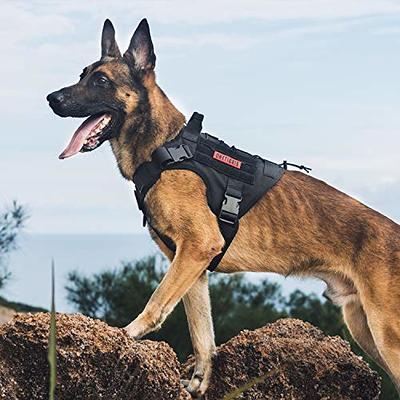 OneTigris Tactical Dog Harness Vest,No-Pull Service Dog Vest with Hook &  Loop Panels,Adjustable Dog Vest Harness for Walking Hiking  Training(Black,XXS) - Yahoo Shopping