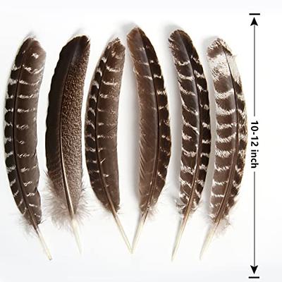  Soarer Colorful Craft Turkey Feathers - 300pcs 3-5inch