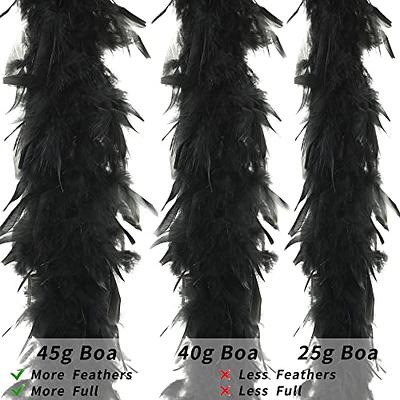 Larryhot 45g Black Feather Boa - 2 Yards Turkey Boa Feathers for Party  Bulk,Halloween,Wedding,Centerpieces,Concert,Costume and Home  Decoration(45g-Black) - Yahoo Shopping