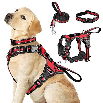 WINSEE Pet Harness Collar and Leash Set, All-in-one Reflective Dog Harness  No Pull with Adjustable Buckles for Puppies, Small, Medium, Large, and  Extra-Large Dogs (Large, Red) - Yahoo Shopping