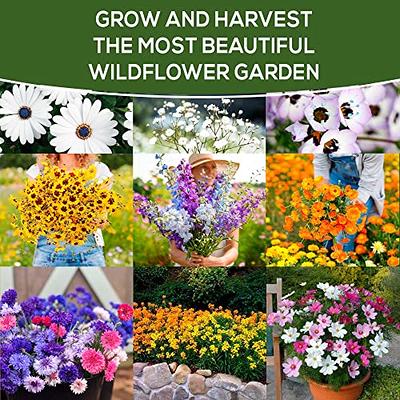  Flower Seeds Packets for Planting 35 Individual
