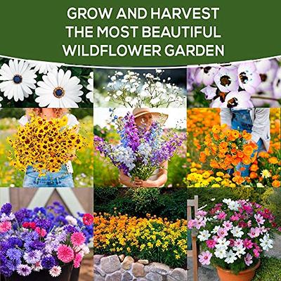  Flower Seeds Packets for Planting 35 Individual Varieties  Perennial, Annual, Wildflower Seeds for Planting Outdoors for Bees and  Butterflies - Semillas de Flores Hermosas by Gardeners Basics. : Patio,  Lawn & Garden