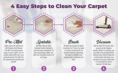  Resolve Pet Stain & Odor Carpet Cleaner, 22 oz (Pack
