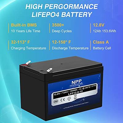 DJLBERMPW 12.8V 100Ah (1 Pack) LiFePO4 Battery Built-in 100A BMS Lithium  Battery 12V 1280Wh Lithium Batteries 10-Year Lifetime, Perfect for Trolling