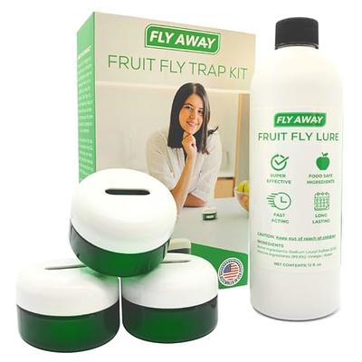 FlyWeb - Fruit Fly Traps for Indoors, Gnat Traps for House Indoor - Made in  USA, Fruit Fly