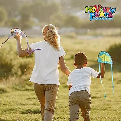 outdoor kids play ejection flying kite