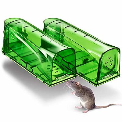 Kat Sense Rat Bait Station Traps, Reusable Humane Rodent Box