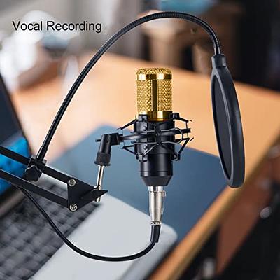 ZINGYOU BM800 Condenser Microphone Bundle Mic Kit for Studio