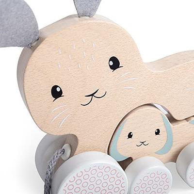 wooden bunny push toy