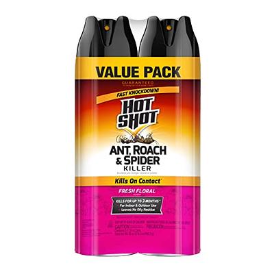 Hot Shot Ant, Roach And Spider Killer 2-17.5 Ounce Aerosol Cans, Fresh  Floral Scent, Twin Pack - Yahoo Shopping