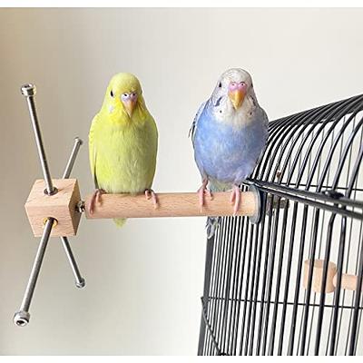  EBaokuup 5PCS Natural Wood Bird Perches for Parrot - Wooden Bird  Parrot Stand Branches Parakeet Cage Perch Accessories for Small Birds  Budgies Cockatiels Conure Lovebirds : Pet Supplies