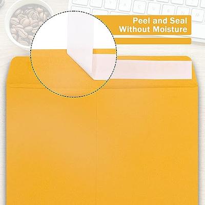 Eupako Catalog Envelopes 6x9 Small White Envelopes Self Seal 250 Pack for  Mailing, Organizing, Storage