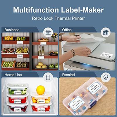 Niimbot B21 Portable Multifunctional Label Printer Wireless