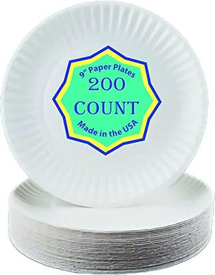 [300 Pack] Bulk Disposable White Uncoated Paper Plates 9 inch Large