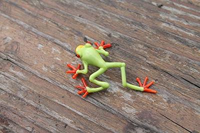 callidryas tree frog Blown Glass Frog Sculpture poison dart frog lampwork  boro toy Glass Frog Miniature Agalychnis callidryas - Yahoo Shopping