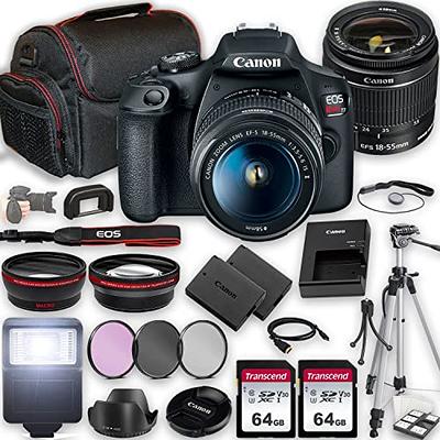  Canon EOS R100 Mirrorless Camera with 18-45mm Lens + 420-800mm  Super Telephoto Lens + 128GB Memory, LED Light, Microphone, Spare Battery,  Filters,Case, Tripod, Flash, and More (43pc Video Bundle) : Electronics