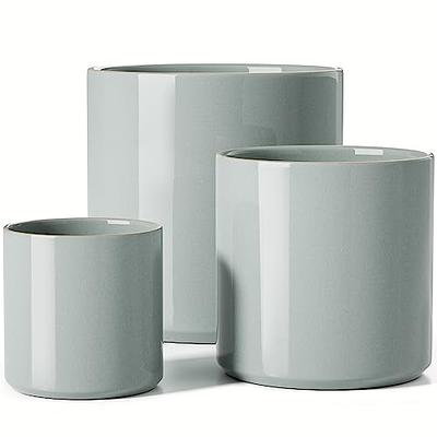 LE TAUCI Large Plant Pots Set, 10/8/6 Inch Ceramic Planters for