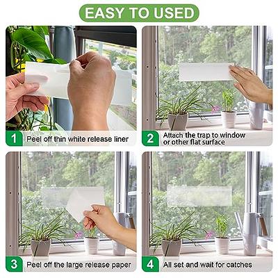 Window Fly Traps Indoor Clear 50 Pack, Sticky Indoor House Fly Trap Catcher  Killer Paper for Home Non-Toxic and Pesticide-Free