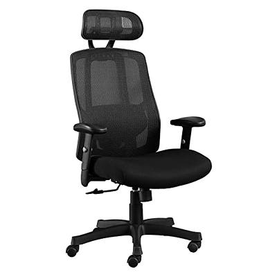 Logicfox Ergonomic Office Chair: Double Lumbar Support