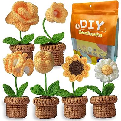 AYQNMHR Crochet Kits for Beginners - All-in-One Learn to Crochet 6  Different Flowers Sets - Crochet Kit for Beginners with Step-by-Step Video  Tutorials, DIY Home Decoration Idea Gift (Purple) - Yahoo Shopping