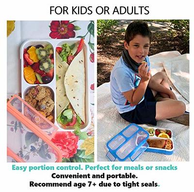 Genteen Kids Lunch Box - Chill Bento Box with 3 Compartments and Removable  Ice Pack for Measl and Snacks,Toddler Lunch Box for