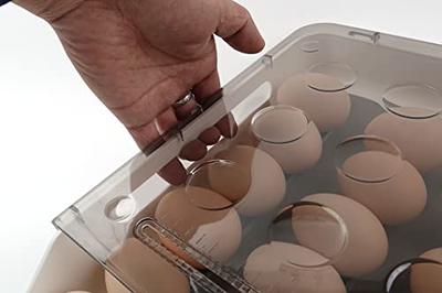 SEESPRING Egg Holder for Refrigerator, 18 Egg Container For Refrigerator,  Egg Fresh Storage Box for Fridge, Egg Storage Tray Organizer Bin, Clear  Plastic Storage Container (1 Layer) - Yahoo Shopping