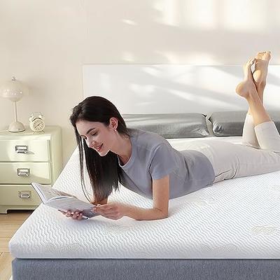 Newentor Firm Mattress Topper Queen - 3 Inch Medium Firm Memory Foam  Mattress Pad for Back & Shoulder Pain Relief, CertiPUR-US Certified, Queen