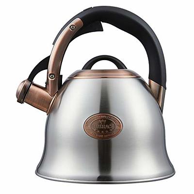 Oggi - Stainless Steel Whistling Tea Kettle, Blue