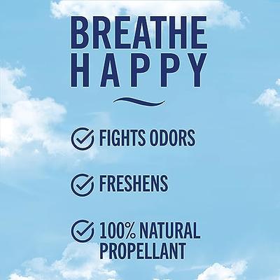  Febreze Odor-Eliminating Air Freshener, Ocean, 2 count, 8.8 fl  oz each : Everything Else