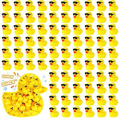  200 PCS Mini Ducks, Resin Luminous Tiny Ducks Glow in the Dark, Small  Resin Luminous Animals Miniature Figures Ducks in Bulk for Garden Potted  Plants Dollhouse Dark Party Decorations (10 Colors) 