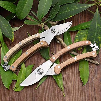 Professional SK5 Alloy Steel Pruning Shears Garden Scissors Branch Tree  Trimmer