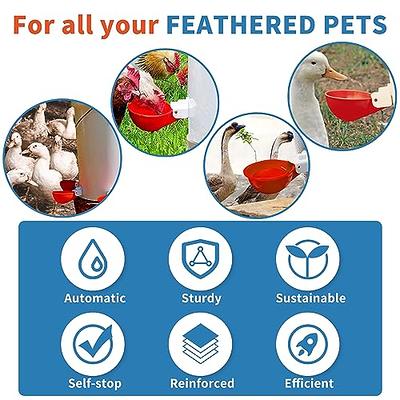 Chicken Water Cups, 6pcs Automatic Chicken Water Feeder, Poultry Waterer Kit Suitable for Chicks, Duck, Goose, Turkey and Bunny, 6-Pack, Red